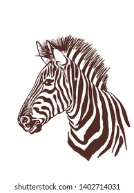 Vintage portrait of zebra ,graphical vector illustration, retro design