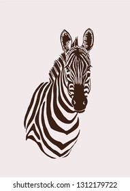 vintage portrait of zebra ,retro sketchy illustration