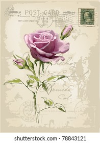 vintage postcard with a beautiful rose hand-drawing