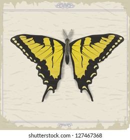 Vintage postcard with image swallowtail