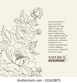 Vintage postcard with peonies. Vector illustration.