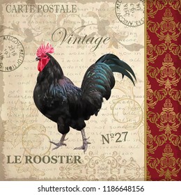 Vintage Postcard With Rooster.