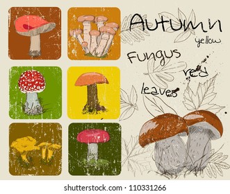 Vintage poster with autumn plants and fungis. Vector illustration EPS8