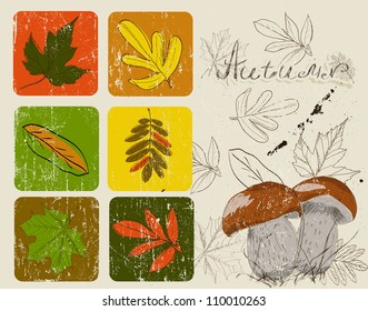 Vintage poster with autumn plants. Vector illustration EPS10