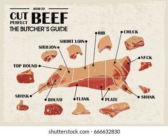 Vintage Poster Butcher Diagram Scheme Cow Stock Vector (Royalty Free ...