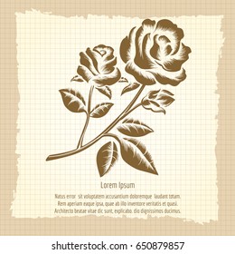 Vintage poster with hand drawn roses engraving. Vector illustration