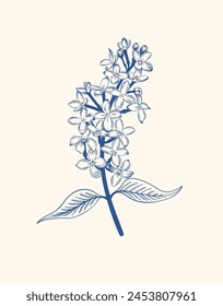 Vintage poster with lilac. Blue drawing. Vector floral illustration. Vector graphics. 