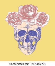 Vintage poster skull with roses. Vector print.