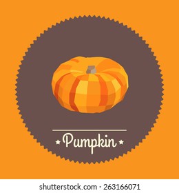 Vintage pumpkin illustration