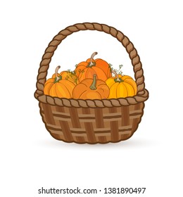 Vintage pumpkins in a wicker pattern. Isolated vector illustration on white background.