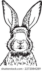 Vintage Rabbit Bunny lineart. Easter Day. Realistic vintage retro style hare face design element