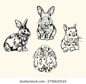 colección de conejo Antiguas con lindos conejitos esponjosos en un estilo clásico suave. Ideal para diseños de Pascua, decoración de vivero, temas de bebé, marca de primavera, estampados de temporada y encantadoras obras de arte de animales.