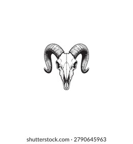 Vintage ram skull vector illustration, hand drawn goat head skeleton with curved horns, rustic animal bone engraving for apparel design.
