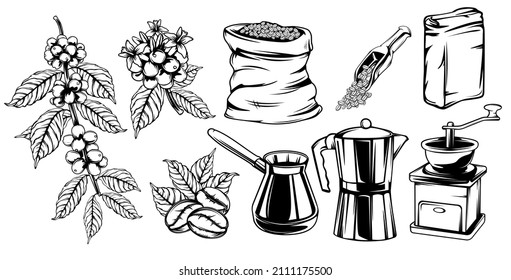 Vintage realistic black and white coffee set. Organic food. Brewing tools. Natural organic coffee plant and beans. Vector drawing. Sketch drawing. Vector set.
