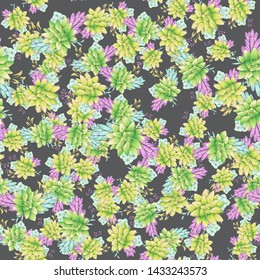 Vintage realistic seamless pattern with green realistic succulent pattern seamless on colorful background for cover design. Colorful seamless mexican style pattern.