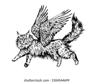 Vintage realistyc hand drawn flying maine coon cat.
