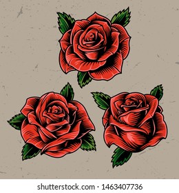 Vintage red blooming roses concept on gray background isolated vector illustration