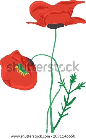 Image, Stock Photo poppy Plant Old