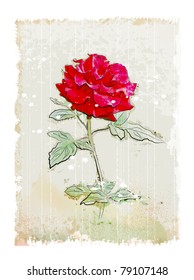 vintage red rose