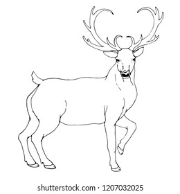 vintage reindeer, draw,vector