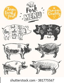 Vintage restaurant meat menu template. American scheme of pork cuts, hand drawn vector illustration.