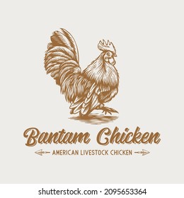 Vintage Retro bantam chicken rooster hand drawn logo