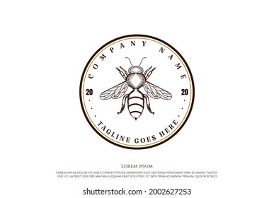 Vintage Retro Bee for Sweet Honey Product Label Logo Design Vector