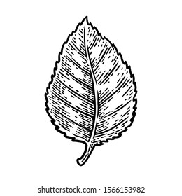 Vintage retro birch leaf isolated vector illustration on a white background. Design element for logo, badge, tattoo, banner, poster.