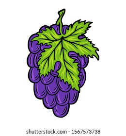 Vintage retro bunch of grapes isolated vector illustration on a white background. Design element for logo, badge, tattoo, banner, poster.