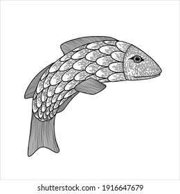 Vintage retro engraving style. the image of an animal in one line. Vector graphics