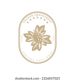 Vintage retro golden grapevine logo design badge vector illustration