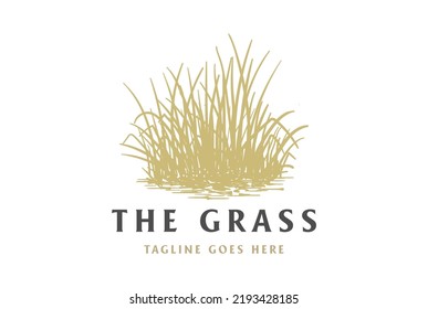 Vintage Retro Grass Meadow Lawn or Wheat Rice Farm Logo Design Vector