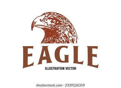 Vintage Retro Hand Draw American Bald Eagle Hawk Falcon Head Illustration Vector