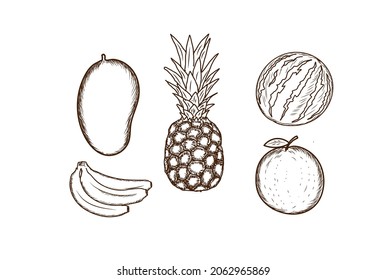 Vintage Retro Hand Drawn Fruits Mango Banana Watermelon Orange Pineapple Logo Design Vector