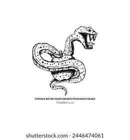 Vintage retro hand drawn viper snake with apple vector art illustration svg