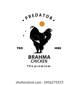 vintage retro hipster brahma chicken logo vector outline silhouette art icon