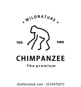 vintage retro hipster chimpanzee logo vector outline monoline art icon