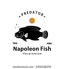 vintage retro hipster napoleon fish logo vector outline silhouette art icon	