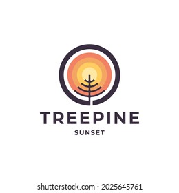 vintage retro hipster pine tree evergreen with sunset logo design vector