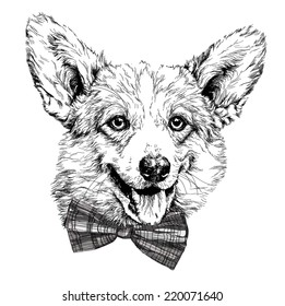 Vintage retro hipster style sketch of funny Pembroke Welsh corgi dog. vector illustration.