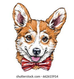 Vintage retro hipster style sketch of funny Pembroke Welsh corgi puppy. vector illustration.