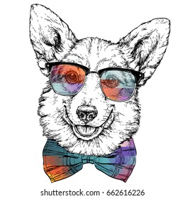 Vintage retro hipster style sketch of funny Pembroke Welsh corgi dog in glasses. vector illustration.