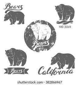 Vintage retro label design with grunge effect. Bear logo. Can be used for T-shirts print, labels, badges, stickers, logotypes vector illustration. California