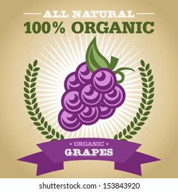 Vintage retro organic fruit design poster with grape icon