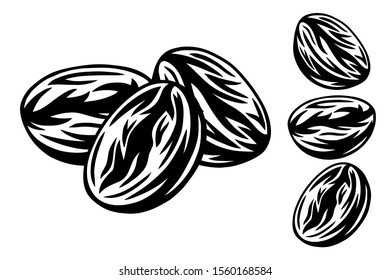 Vintage retro roasted coffee beans isolated vector illustration on a white background. Design element for logo, badge, banner, poster.