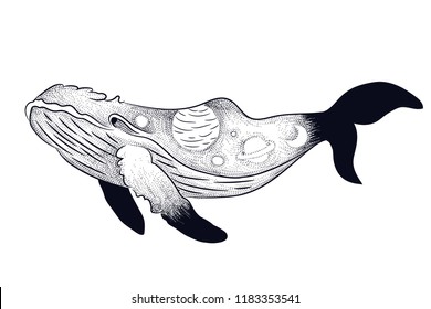 vintage retro vintage style engraving. seascape with the body of the whale. sketch for print on clothes, vector. phases of the moon