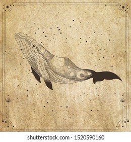 vintage retro vintage style engraving. seascape with the body of the whale. sketch for print on clothes, vector. phases of the moon