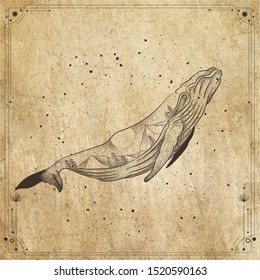 vintage retro vintage style engraving. seascape with the body of the whale. sketch for print on clothes, vector. phases of the moon