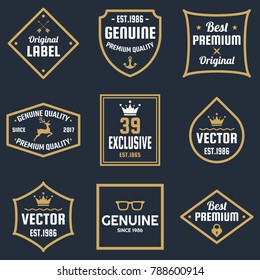 Vintage Retro Vector Logo for banner, poster, flyer