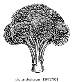 A vintage retro woodcut print or etching style broccoli illustration